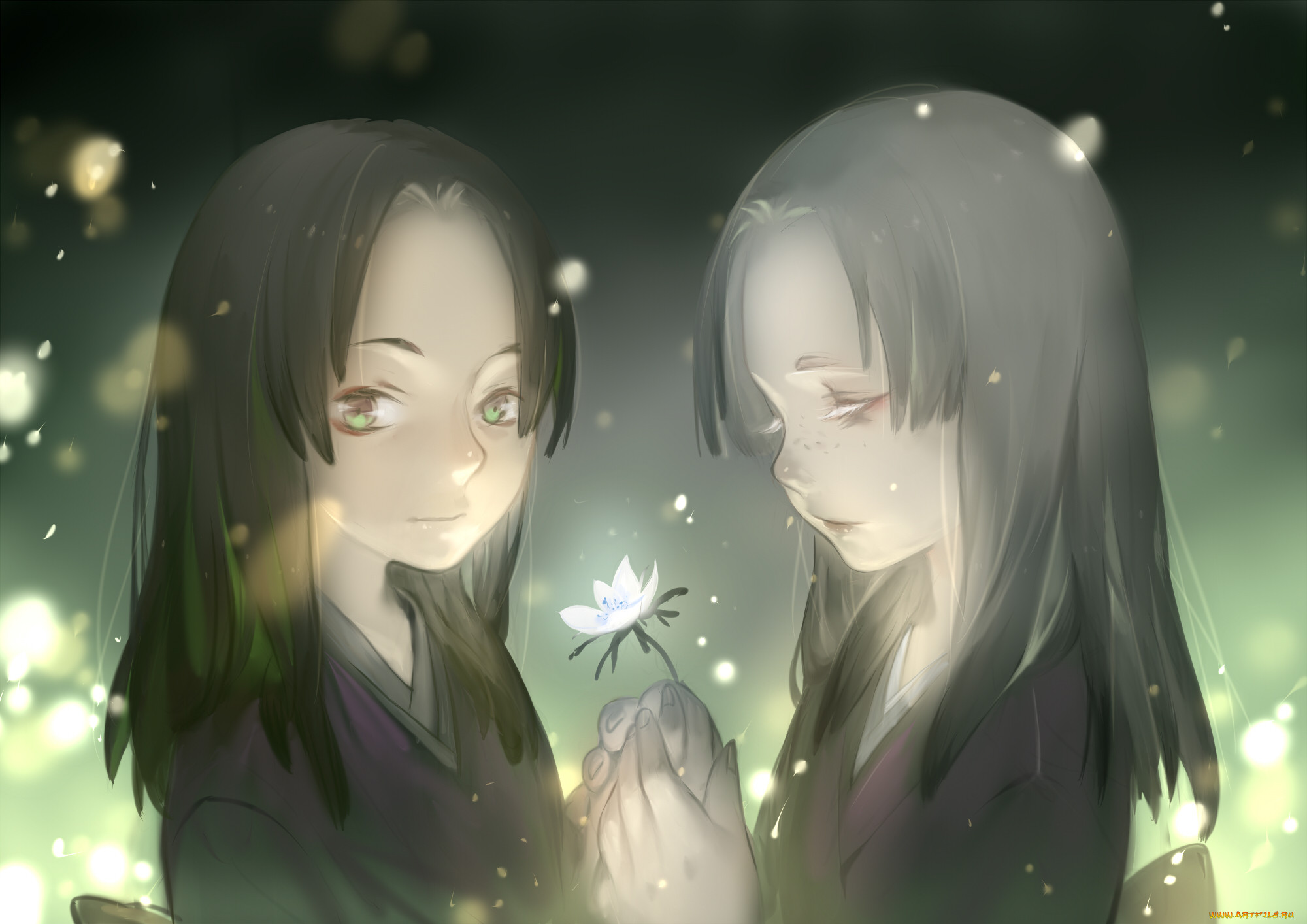 , mushishi, luman, , , , 